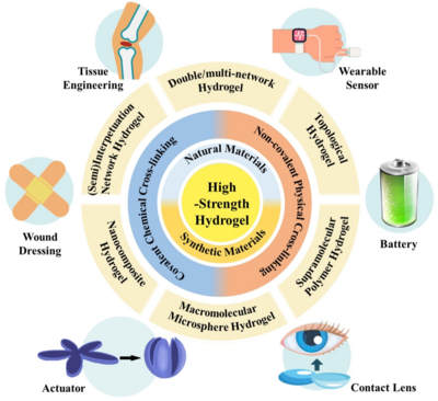 西工大黃河源、王文智/西安交大趙鑫 Nano Res.:高強度水凝膠的制備策略、增強機制與未來挑戰(zhàn)