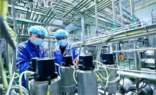 蘭州新區(qū)國慶假期生產(chǎn)不打烊，全力趕制訂單保障西安網(wǎng)絡(luò)需求