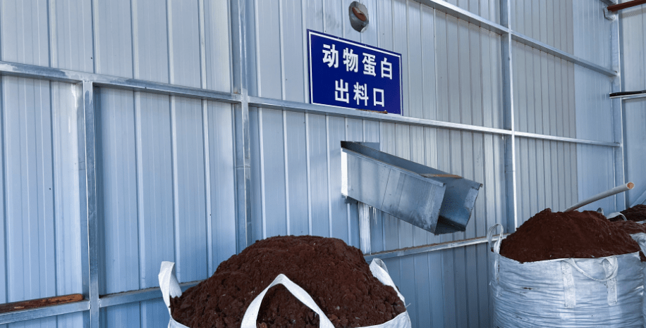 達拉特旗構建“五位一體”病死畜禽無害化處理模式，推動生物有機肥料研發保障食品與生態安全