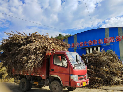 秸稈肥料化利用 從‘包袱’到‘綠色財(cái)富’的轉(zhuǎn)變