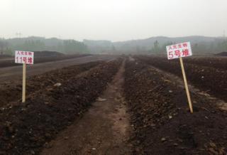 微生物肥料 綠色農(nóng)業(yè)的新引擎，生物質(zhì)能技術(shù)服務(wù)的市場價(jià)值