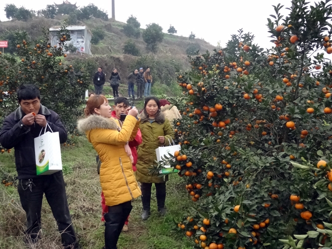 重慶拓陽科技ldquo;生物有機肥使用交流會&rdquo;在重慶市長壽區順利召開